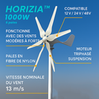 Eolienne HORIZONTALE 6 pales - Horizia™ 1000W - 12V/24V/48V